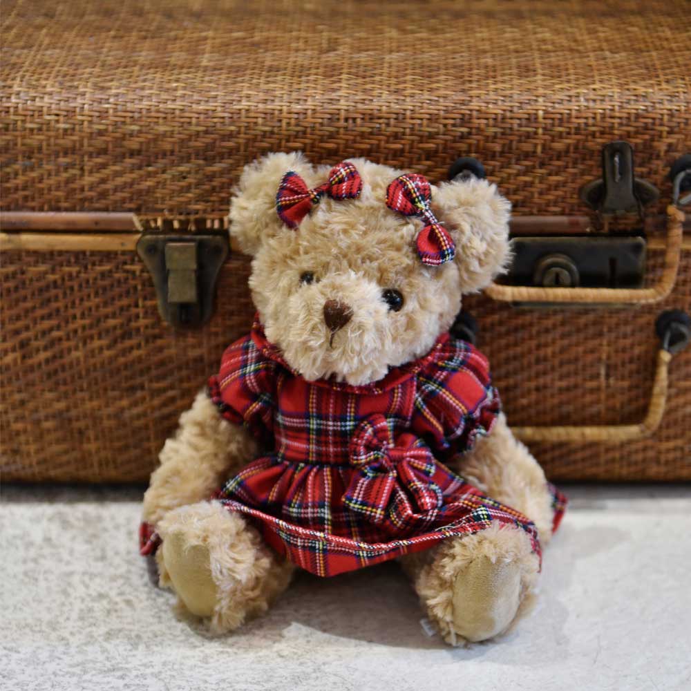 Bear with Tartan Dress