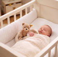 Steiff Plush Teddy Bear